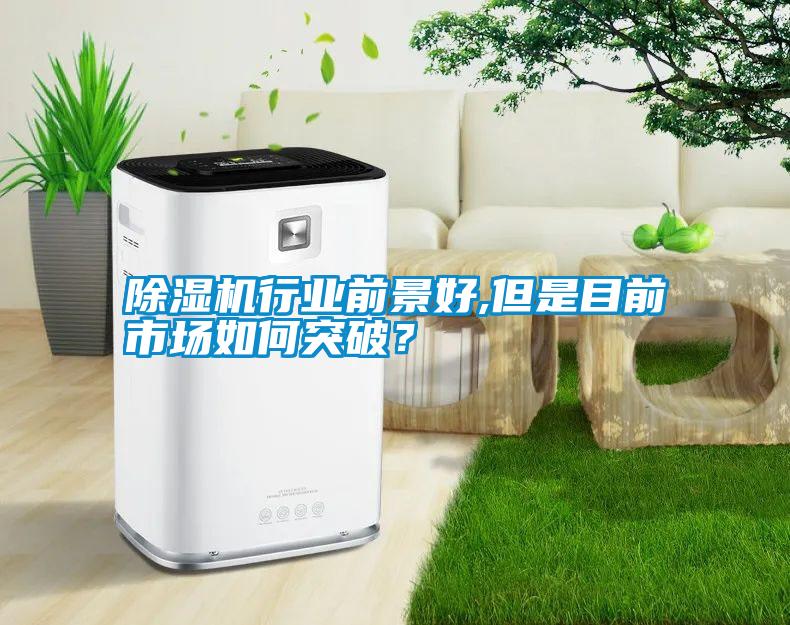 除濕機(jī)行業(yè)前景好,但是目前市場如何突破？