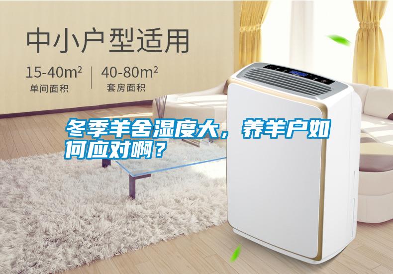 冬季羊舍濕度大，養(yǎng)羊戶如何應(yīng)對(duì)??？