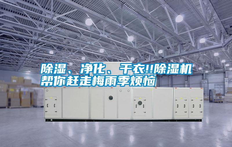 除濕、凈化、干衣!!除濕機幫你趕走梅雨季煩惱