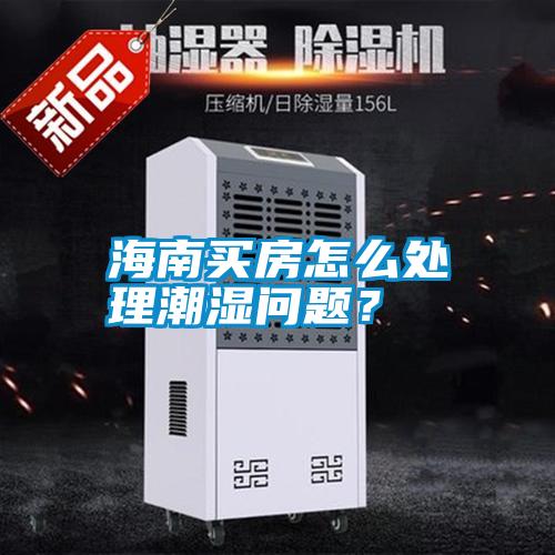 海南買房怎么處理潮濕問題？