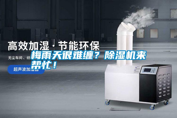 梅雨天很難纏？除濕機來幫忙！