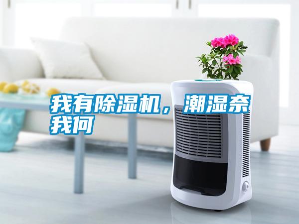 我有除濕機(jī)，潮濕奈我何