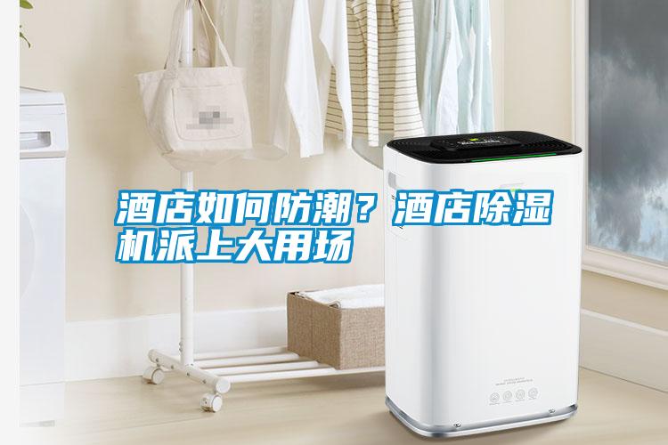 酒店如何防潮？酒店除濕機派上大用場