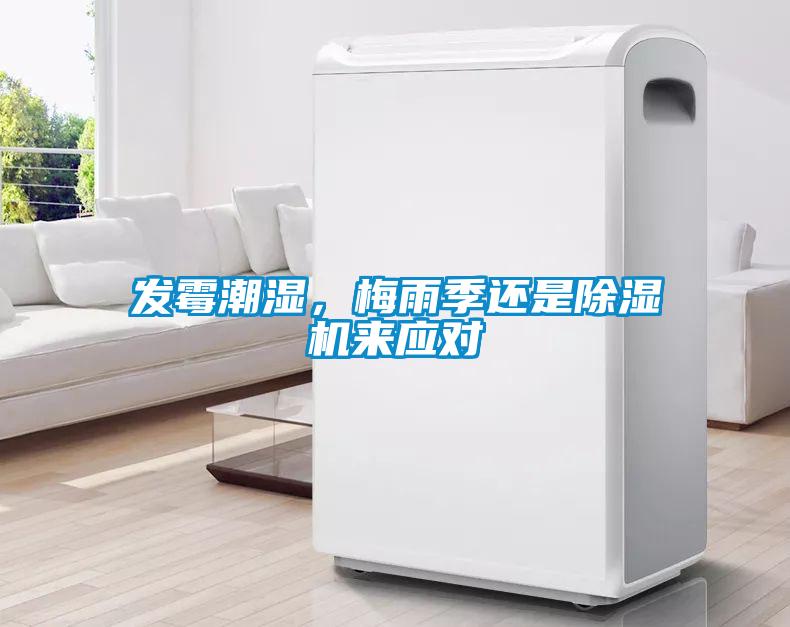 發(fā)霉潮濕，梅雨季還是除濕機(jī)來應(yīng)對(duì)