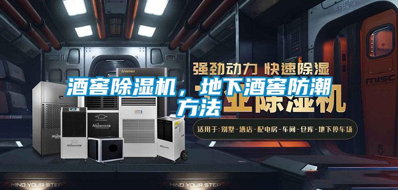 酒窖除濕機(jī)，地下酒窖防潮方法