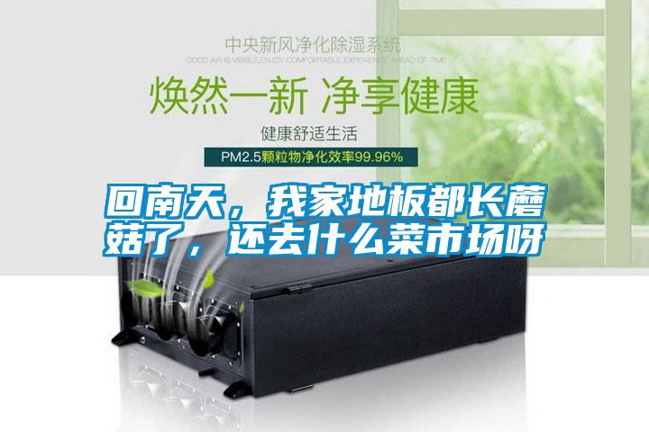 回南天，我家地板都長蘑菇了，還去什么菜市場呀