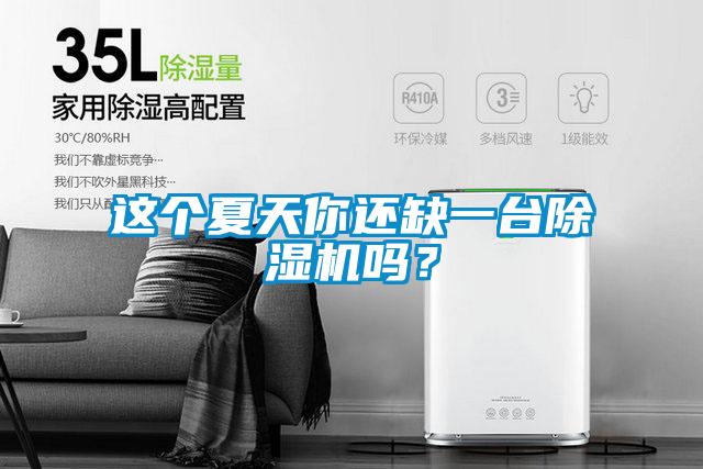 這個夏天你還缺一臺除濕機嗎？