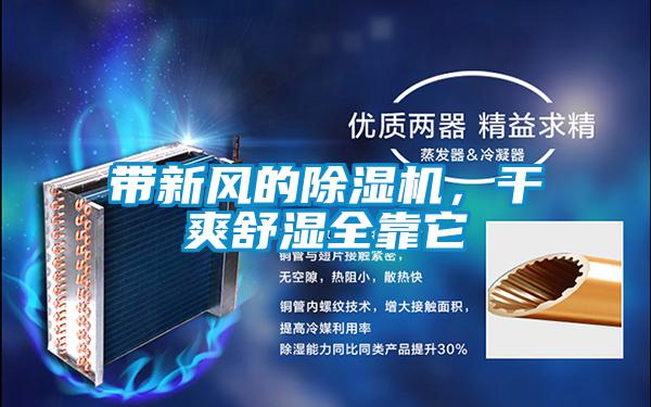 帶新風的除濕機，干爽舒濕全靠它