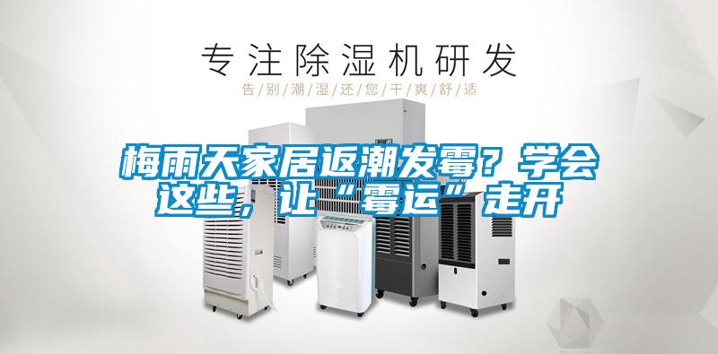 梅雨天家居返潮發(fā)霉？學(xué)會(huì)這些，讓“霉運(yùn)”走開