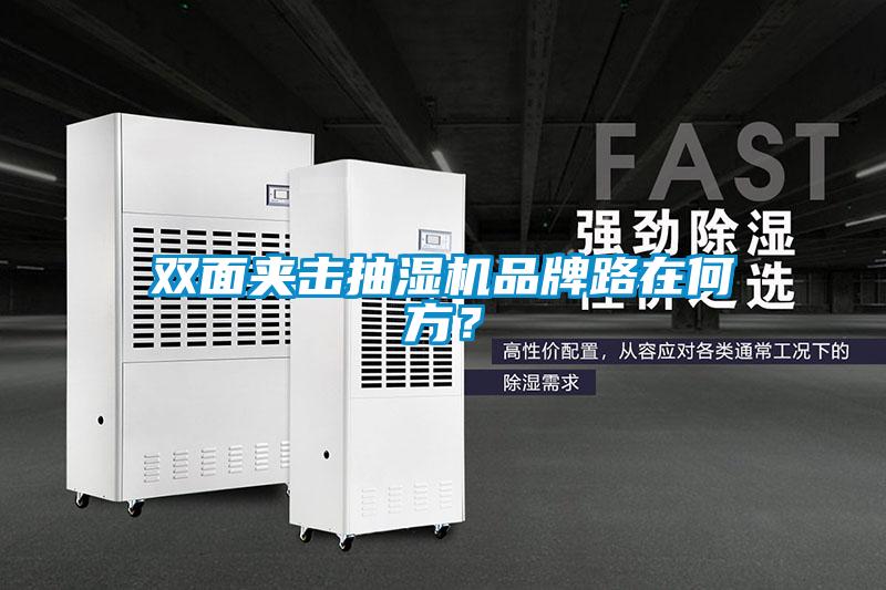 雙面夾擊抽濕機(jī)品牌路在何方？