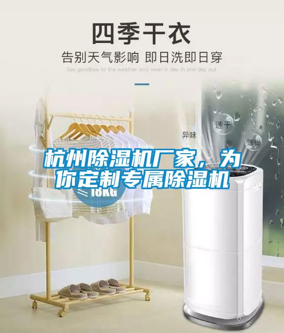 杭州除濕機(jī)廠(chǎng)家，為你定制專(zhuān)屬除濕機(jī)