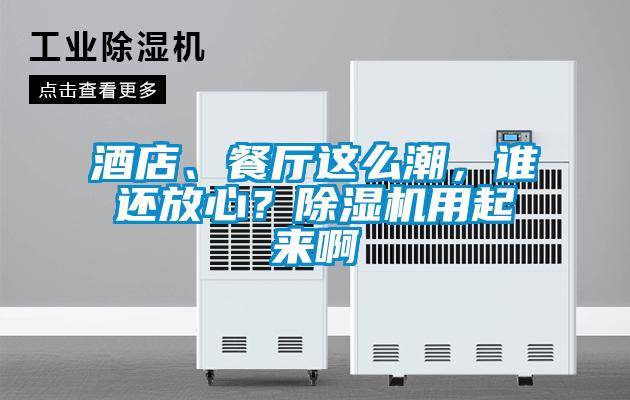 酒店、餐廳這么潮，誰還放心？除濕機用起來啊