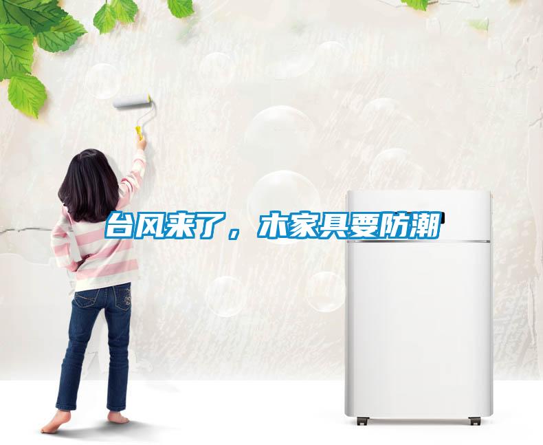 臺(tái)風(fēng)來了，木家具要防潮