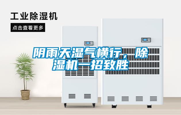 陰雨天濕氣橫行，除濕機(jī)一招致勝