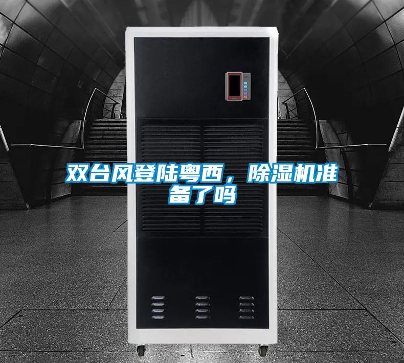 雙臺風登陸粵西，除濕機準備了嗎