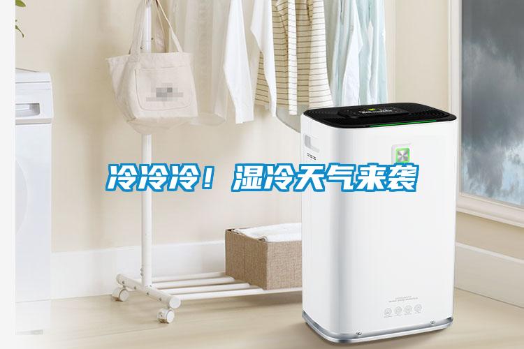 冷冷冷！濕冷天氣來襲