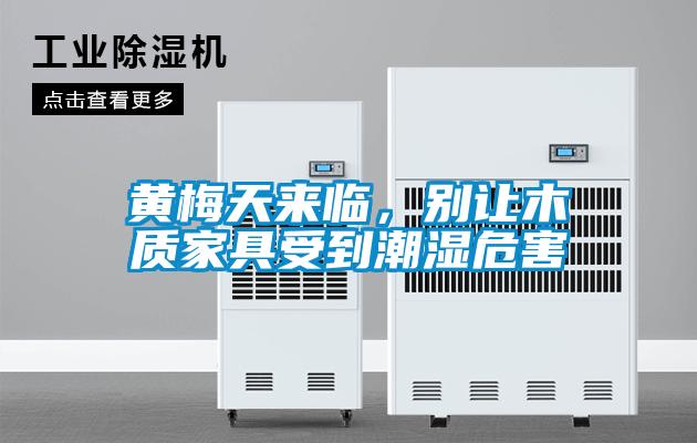 黃梅天來臨，別讓木質家具受到潮濕危害