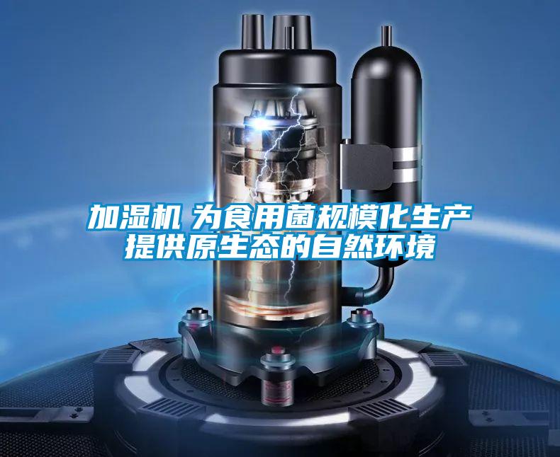 加濕機　為食用菌規(guī)?；a(chǎn)提供原生態(tài)的自然環(huán)境