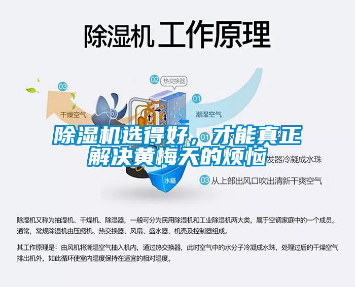 除濕機選得好，才能真正解決黃梅天的煩惱