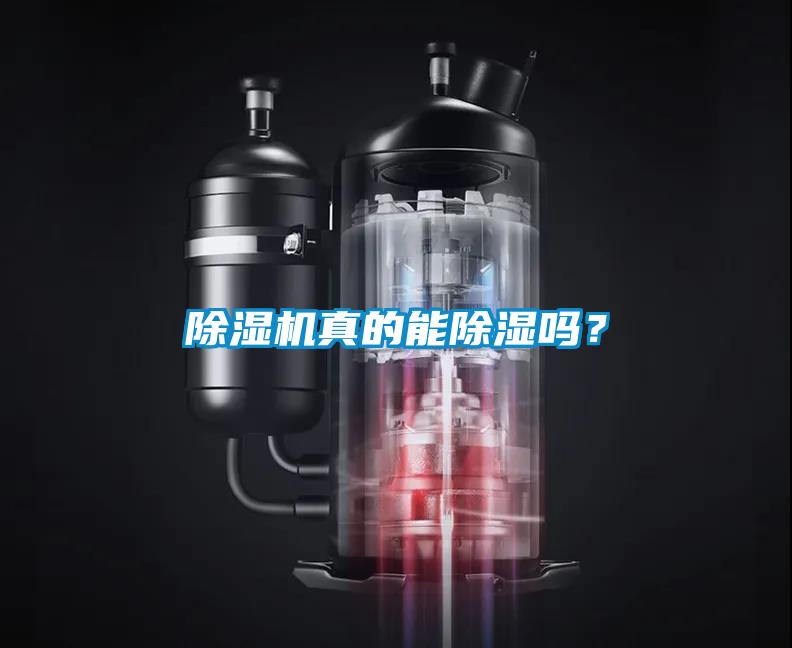 除濕機(jī)真的能除濕嗎？