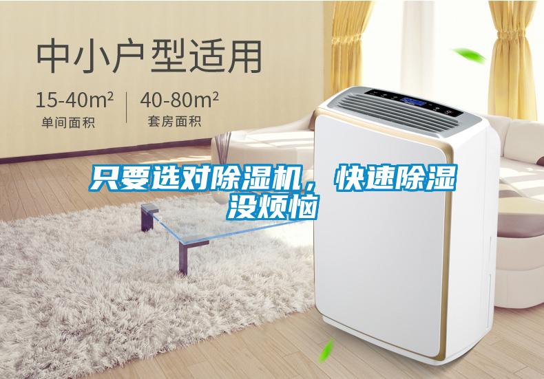 只要選對除濕機，快速除濕沒煩惱