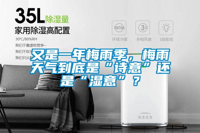 又是一年梅雨季，梅雨天氣到底是“詩(shī)意”還是“濕意”？