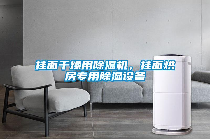 掛面干燥用除濕機(jī)，掛面烘房專(zhuān)用除濕設(shè)備