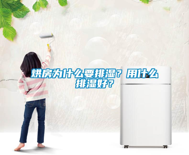 烘房為什么要排濕？用什么排濕好？