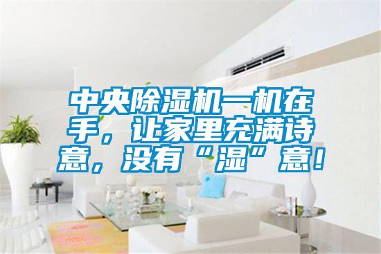 中央除濕機(jī)一機(jī)在手，讓家里充滿詩(shī)意，沒(méi)有“濕”意！
