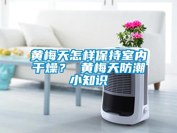 黃梅天怎樣保持室內(nèi)干燥？ 黃梅天防潮小知識