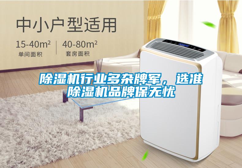 除濕機(jī)行業(yè)多雜牌軍，選準(zhǔn)除濕機(jī)品牌保無憂