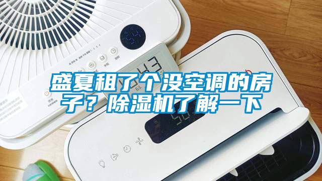 盛夏租了個沒空調(diào)的房子？除濕機了解一下