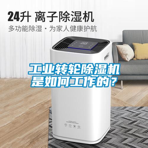 工業(yè)轉(zhuǎn)輪除濕機(jī)是如何工作的？
