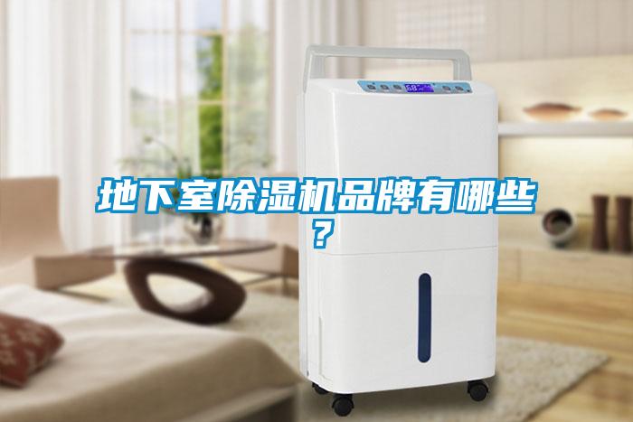 地下室除濕機(jī)品牌有哪些？