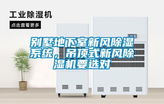 別墅地下室新風(fēng)除濕系統(tǒng)，吊頂式新風(fēng)除濕機(jī)要選對