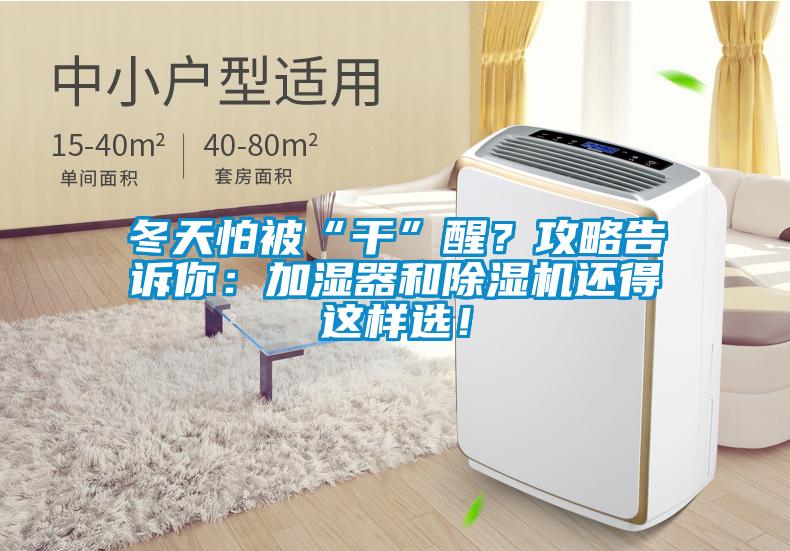 冬天怕被“干”醒？攻略告訴你：加濕器和除濕機(jī)還得這樣選！