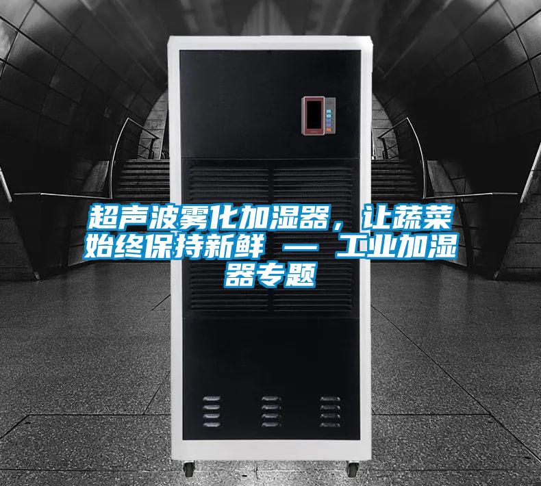 超聲波霧化加濕器，讓蔬菜始終保持新鮮 — 工業(yè)加濕器專題