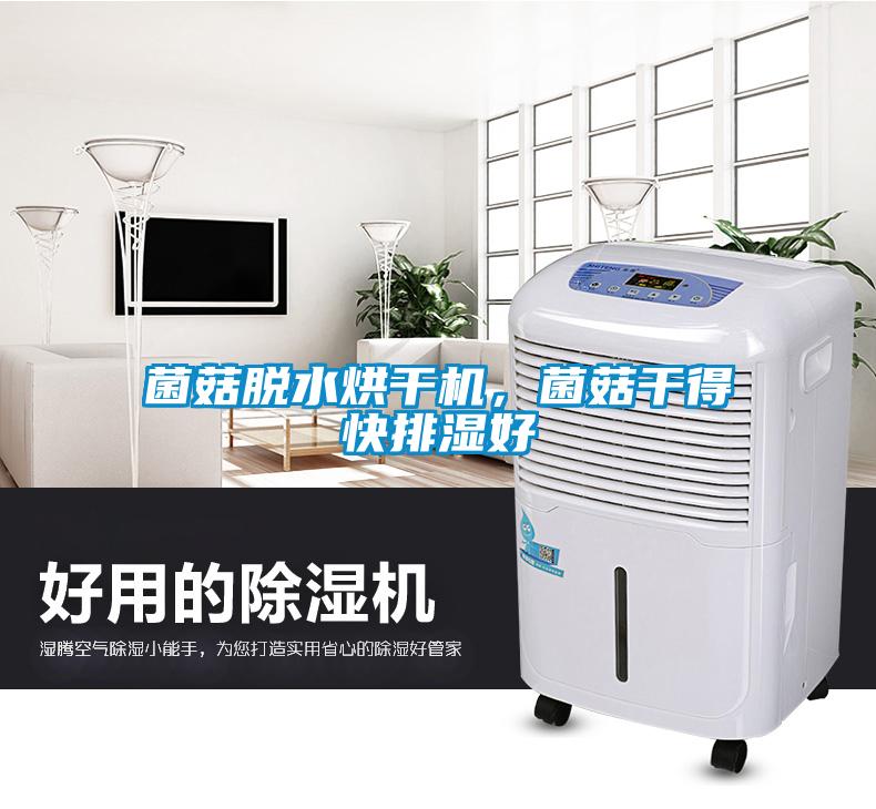 菌菇脫水烘干機，菌菇干得快排濕好