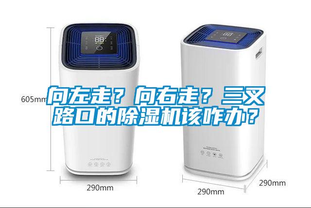 向左走？向右走？三叉路口的除濕機該咋辦？