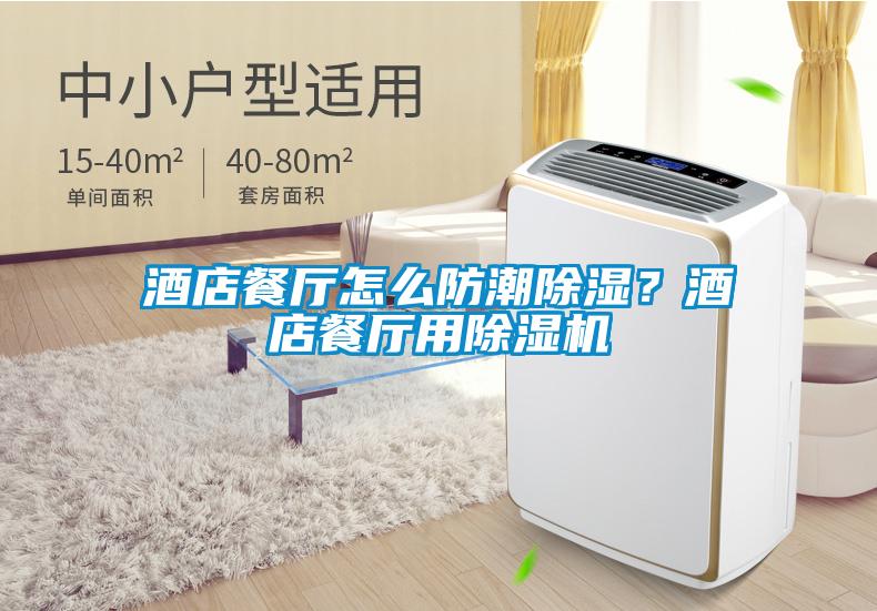 酒店餐廳怎么防潮除濕？酒店餐廳用除濕機