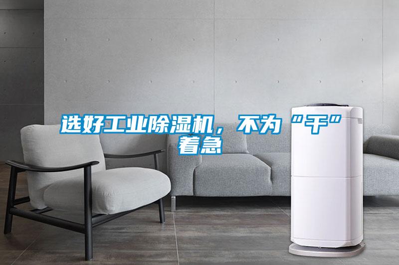 選好工業(yè)除濕機(jī)，不為“干”著急