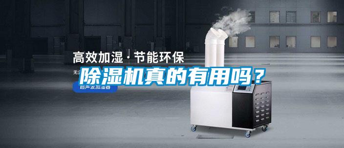 除濕機(jī)真的有用嗎？