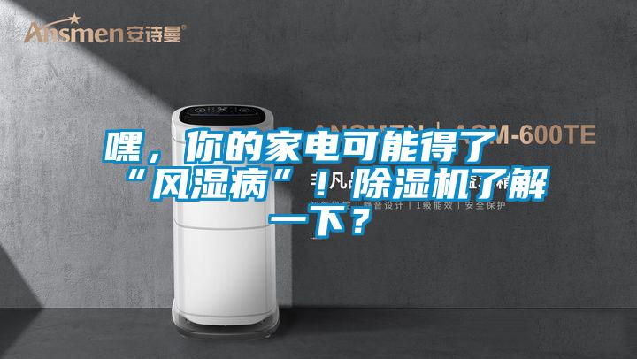 嘿，你的家電可能得了“風(fēng)濕病”！除濕機(jī)了解一下？