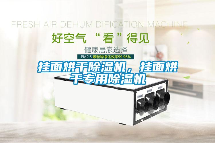 掛面烘干除濕機，掛面烘干專用除濕機