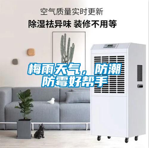 梅雨天氣，防潮防霉好幫手