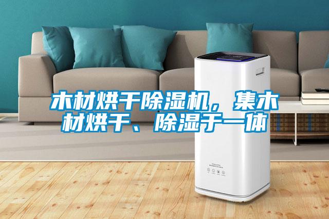 木材烘干除濕機(jī)，集木材烘干、除濕于一體