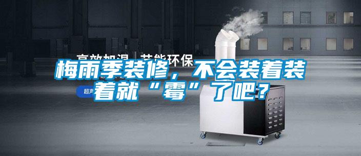 梅雨季裝修，不會裝著裝著就“霉”了吧？