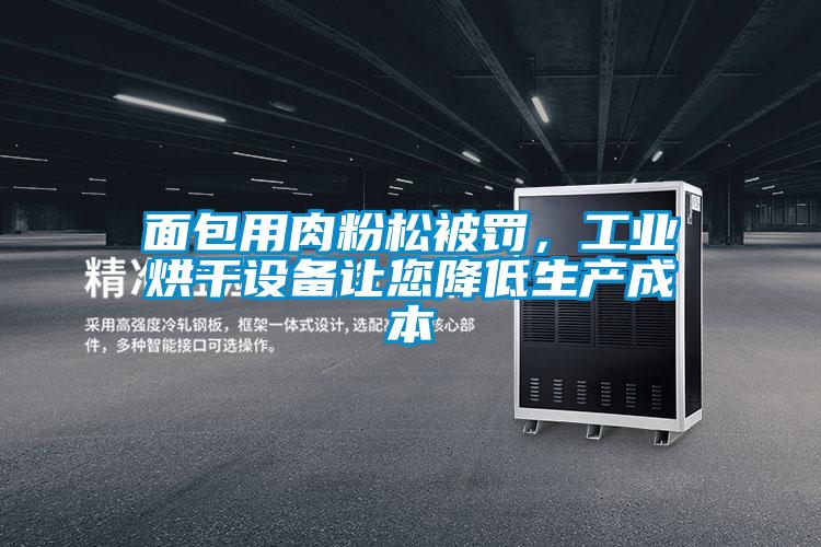 面包用肉粉松被罰，工業(yè)烘干設(shè)備讓您降低生產(chǎn)成本