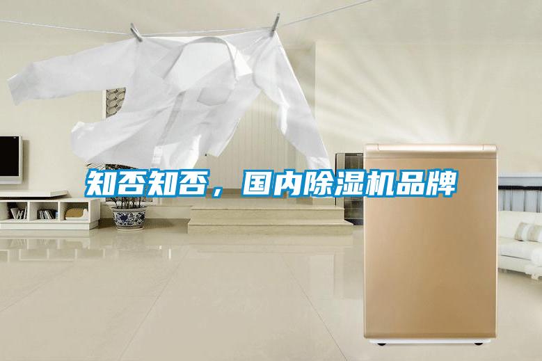 知否知否，國內(nèi)除濕機品牌