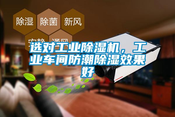 選對(duì)工業(yè)除濕機(jī)，工業(yè)車間防潮除濕效果好